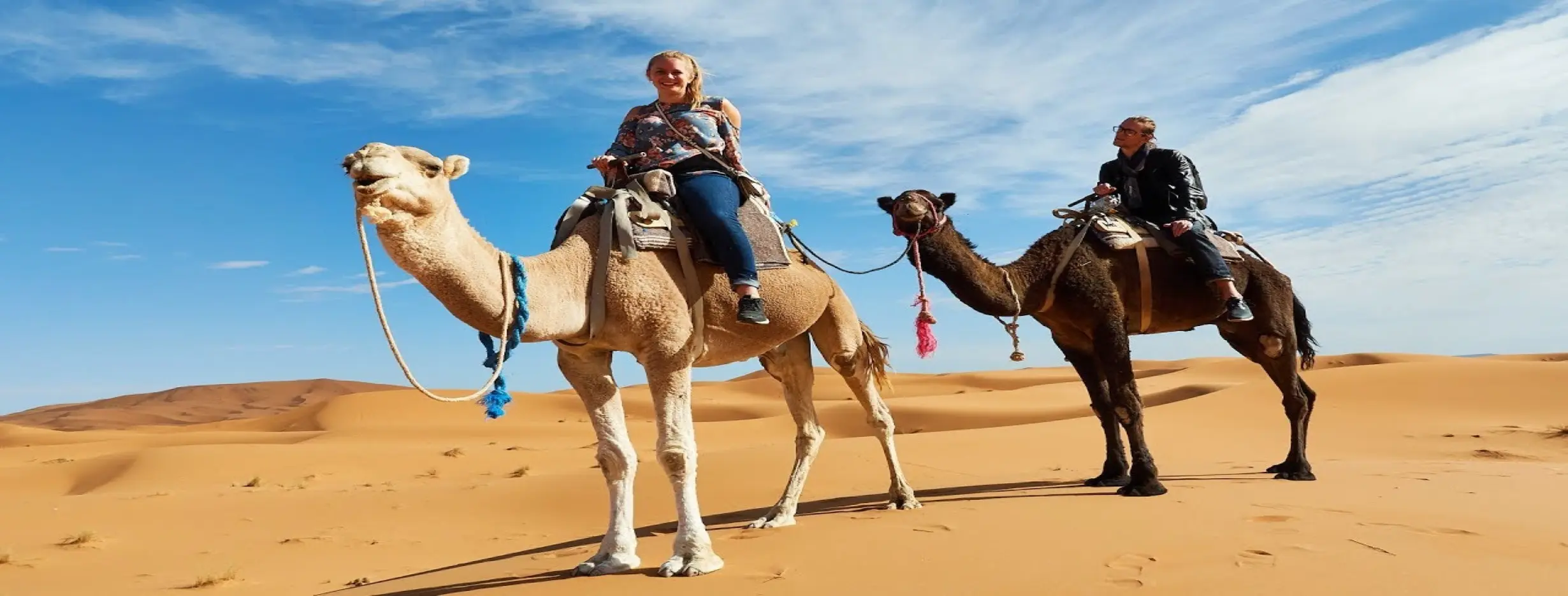 Image for Camel Riding Excursion